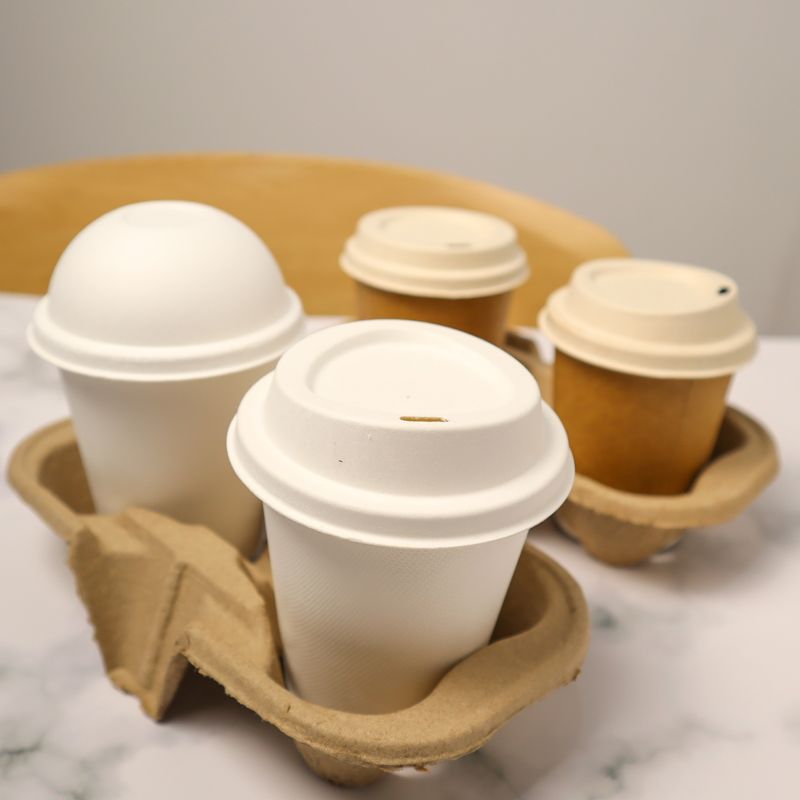 biodegradable cup holders