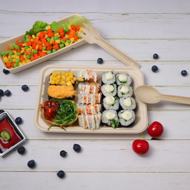 Takeaway Food Packaging Disposable Bagasse Tray Multi-Compartment Bento Box  Lunch Box Meal Preparation Container Microwave - China Disposable 5  Compartment Tray and Custom Biodegradable Food Tray price