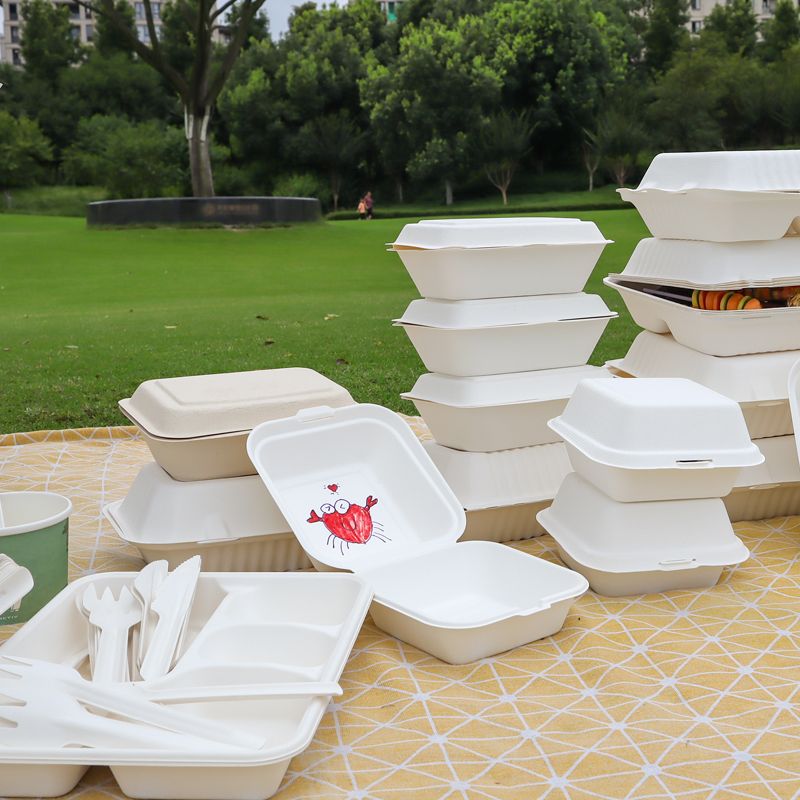 Disposable Biodegradable Sugarcane Bagasse Takeaway Food Packaging Box –  Fastfoodpak