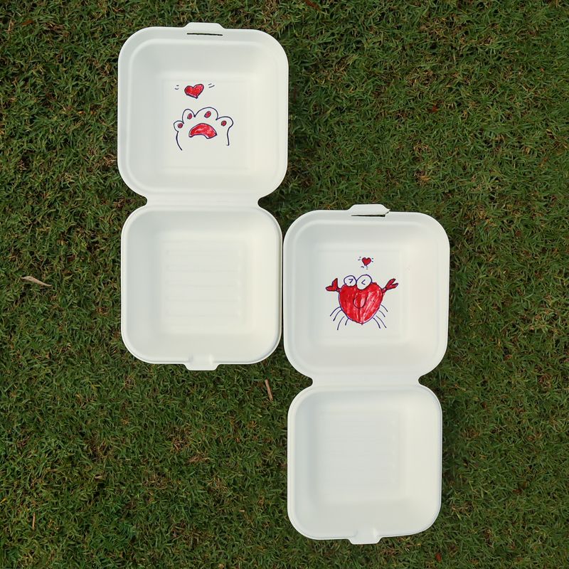 Disposable Biodegradable Sugarcane Bagasse Takeaway Food Packaging Box –  Fastfoodpak